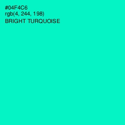 #04F4C6 - Bright Turquoise Color Image